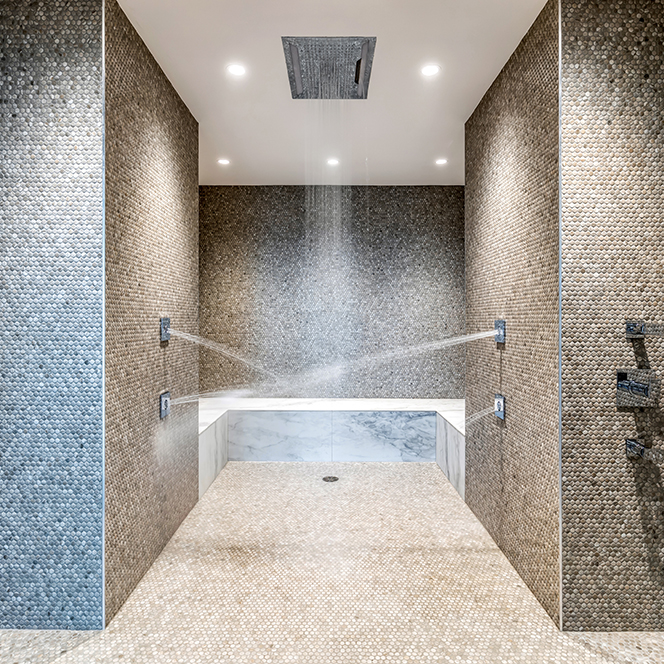 Aer wellness spa with rainfall shower.